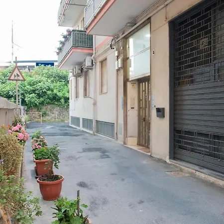 Urban Guest house *